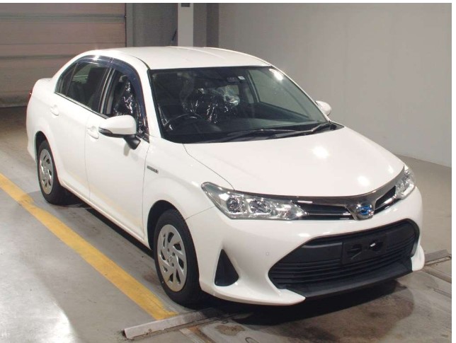 
								TOYOTA AXIO EX HYBRID 2019 full									