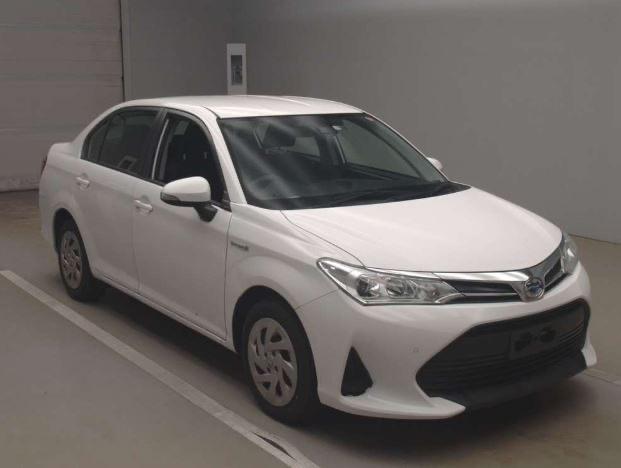 
								TOYOTA AXIO 2019 full									