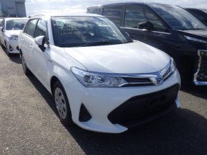 TOYOTA AXIO 2019