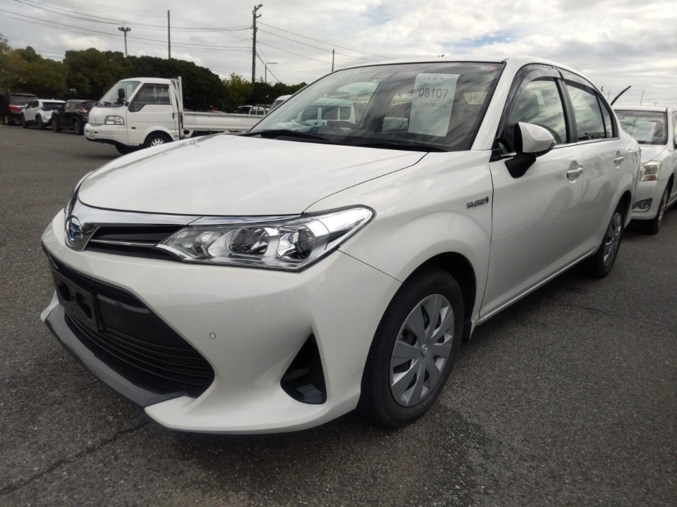 
								TOYOTA AXIO 2019 full									