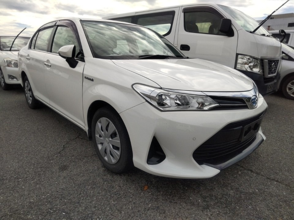 
								TOYOTA AXIO 2019 full									