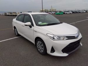 TOYOTA AXIO 2019